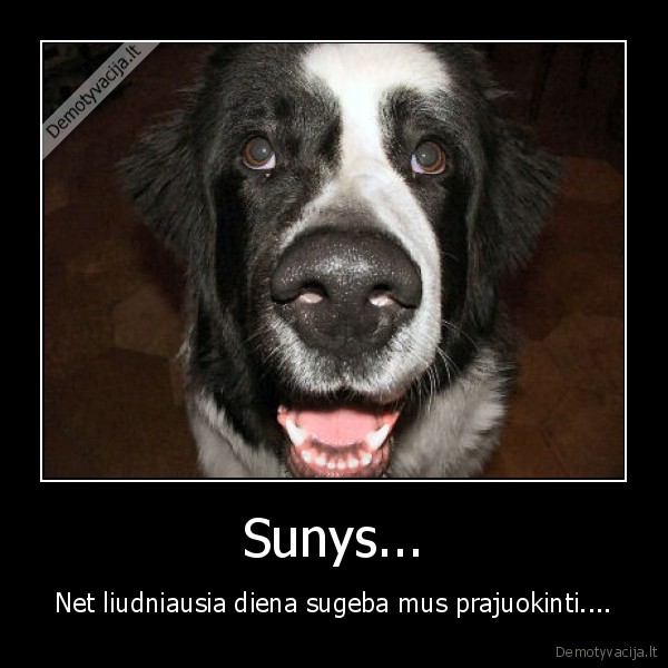 Sunys...