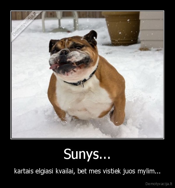 Sunys...