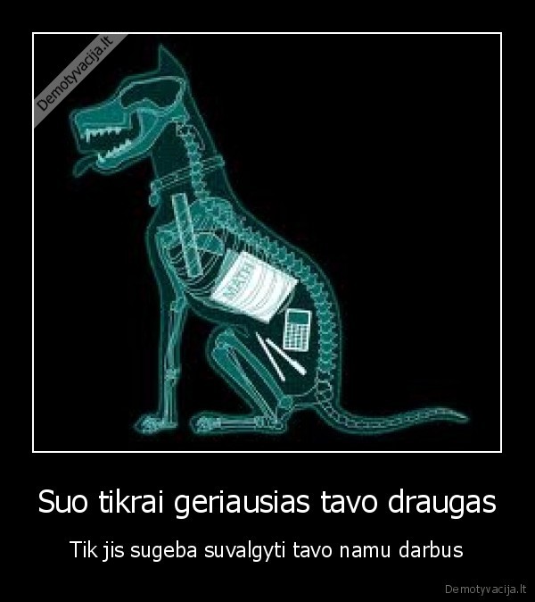 Suo tikrai geriausias tavo draugas