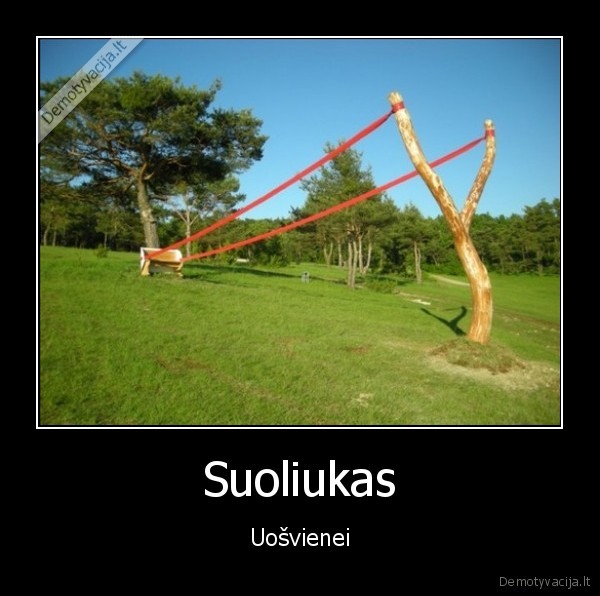 ragatke,laidyne,angry, birds