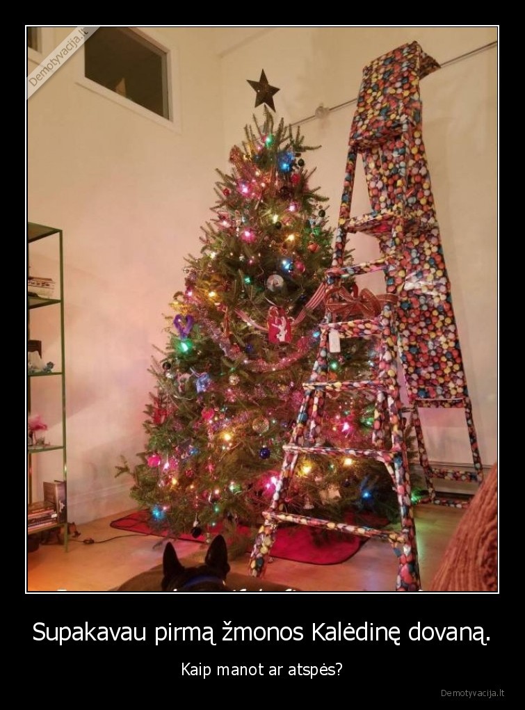 dovana,kopecios,kaledos