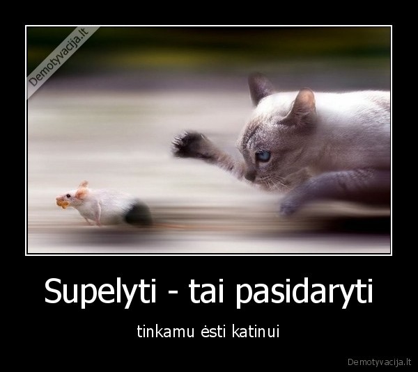 Supelyti - tai pasidaryti