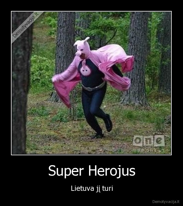 pib,super,lietuva,kiaule