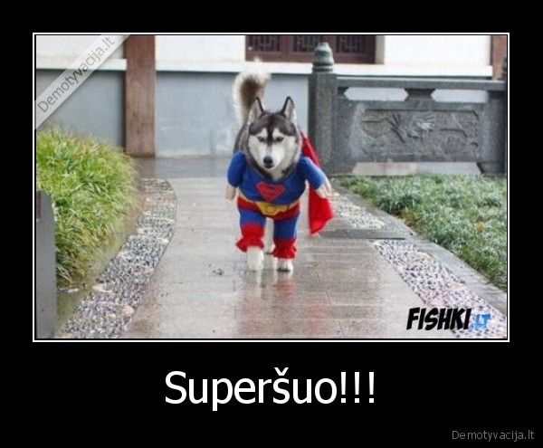 Superšuo!!!