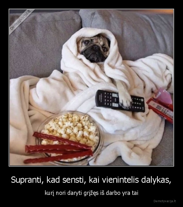 darbas,sensta,pug,suo,miegas,gulejimas