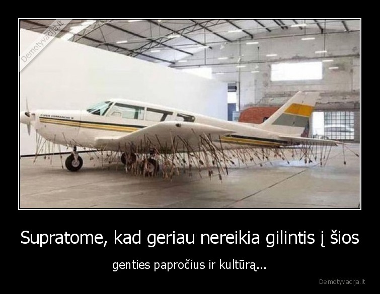 gentis,kultura,paprociai,nereikia,gilintis,lektuvas