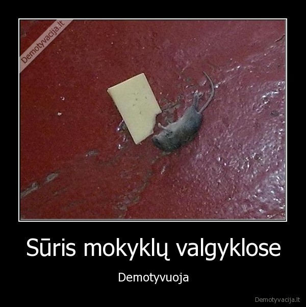 mokykla,heretic,suris