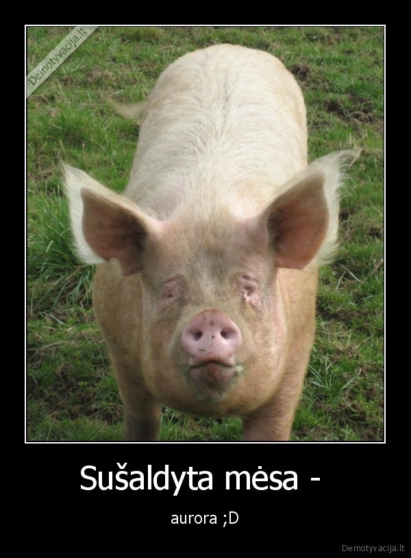 Sušaldyta mėsa - 