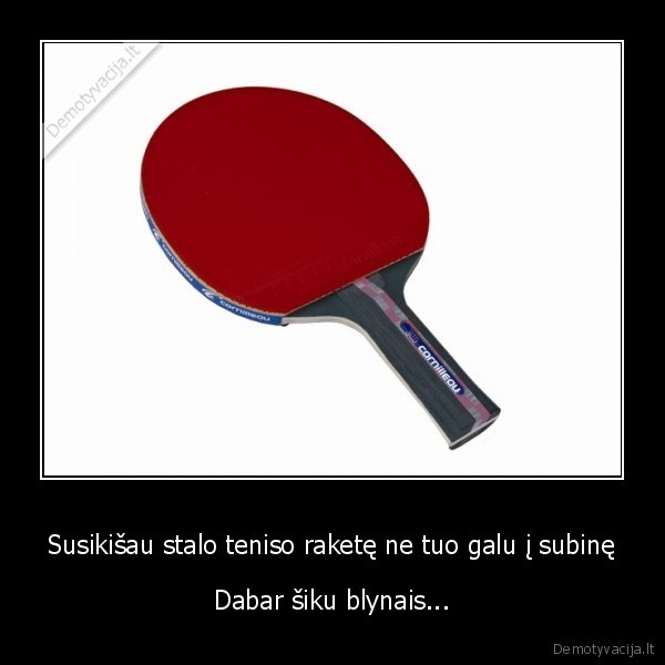 ka, jau, padarysi, kauksciai, gyvunai, amerika, sushi