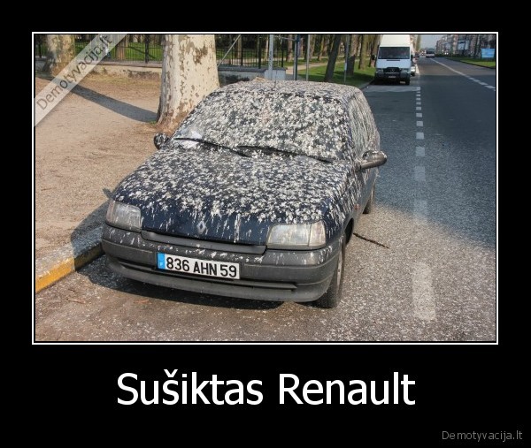 Sušiktas Renault