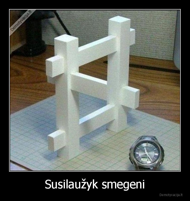 iliuzija,wtf,smegenys