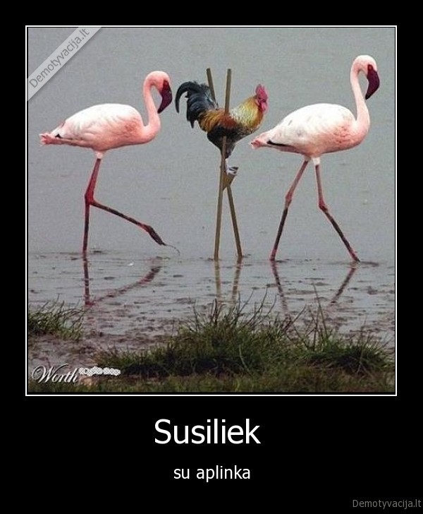 Susiliek 