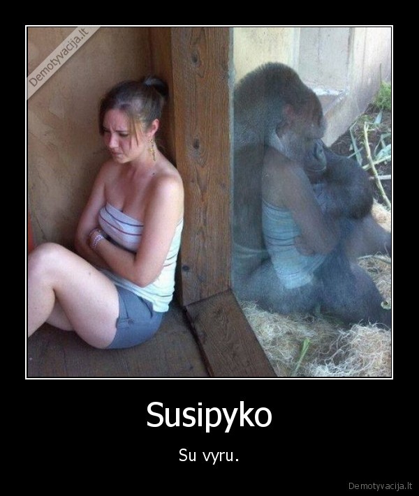 moteris,orangutangas,pikti