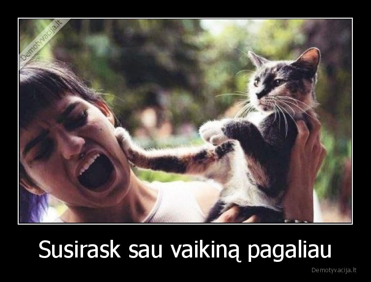 katinas,mergina,meile