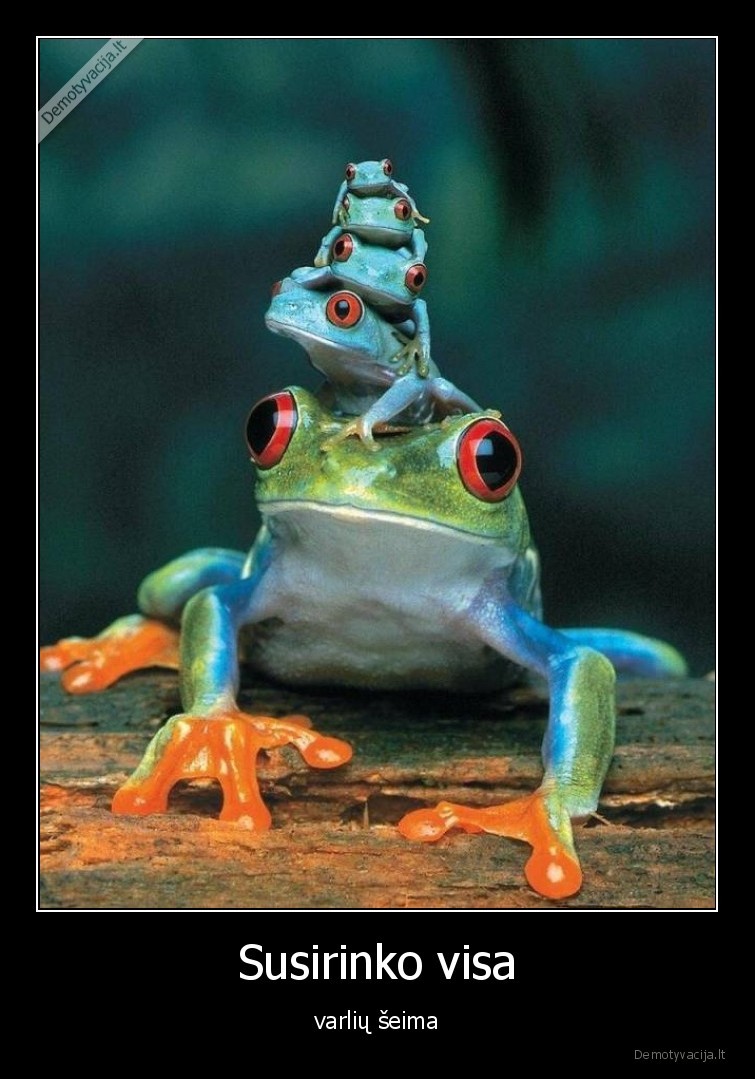 varles,seima,susirinko,visa