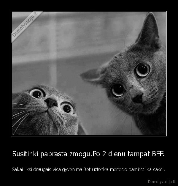 Susitinki paprasta zmogu.Po 2 dienu tampat BFF.