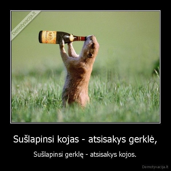 gersi,lusi,ir,nugriusi,vemsi,toletas