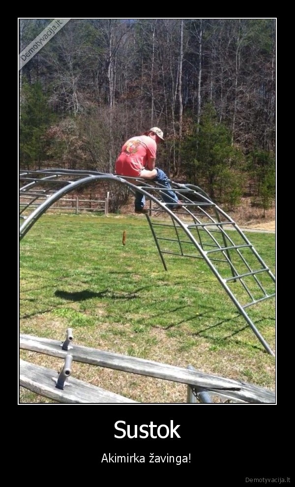 zavinga, akimirka,sika,zaidimu, aikstele,juodas, humoras