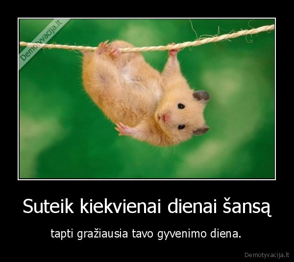 Suteik kiekvienai dienai šansą