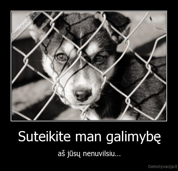 Suteikite man galimybę