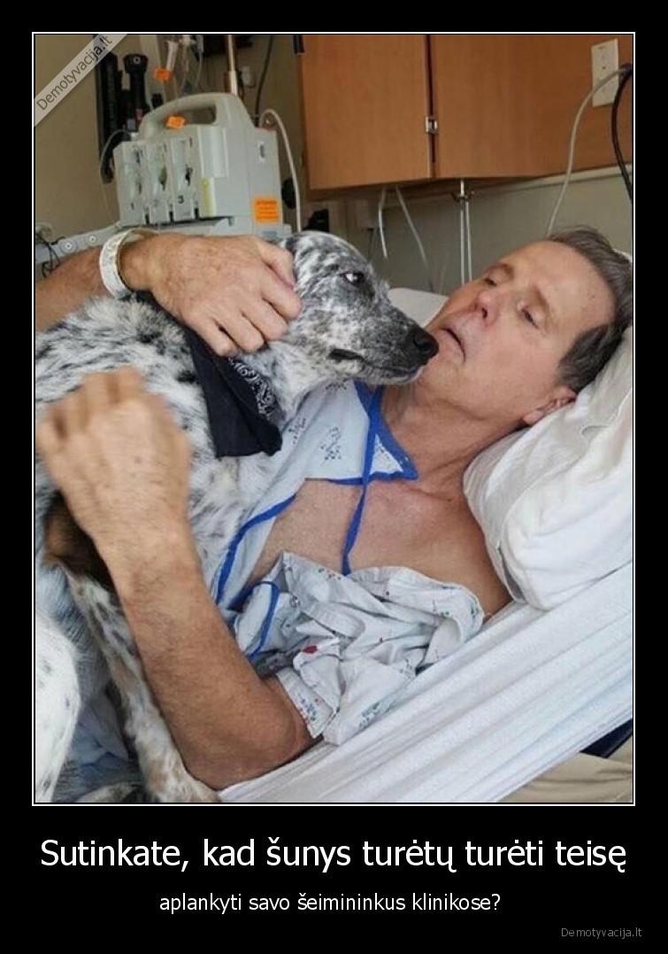 seimininkas,suo,draugas