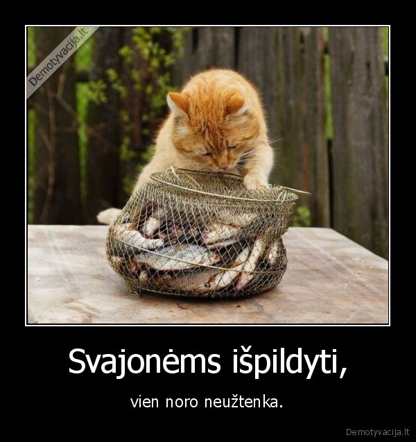 Svajonėms išpildyti,