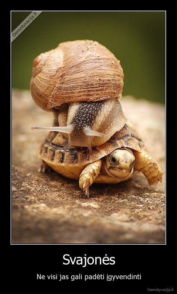 svajones,sraige,vezlys