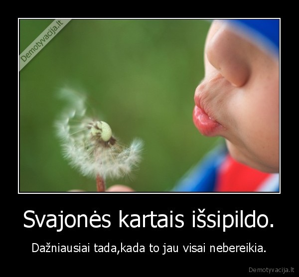 Svajonės kartais išsipildo.