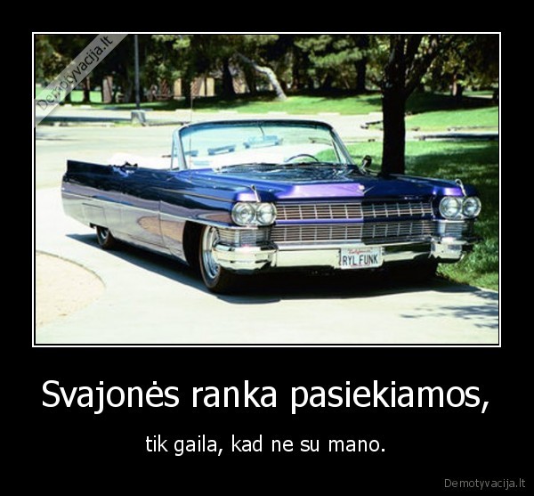 Svajonės ranka pasiekiamos,