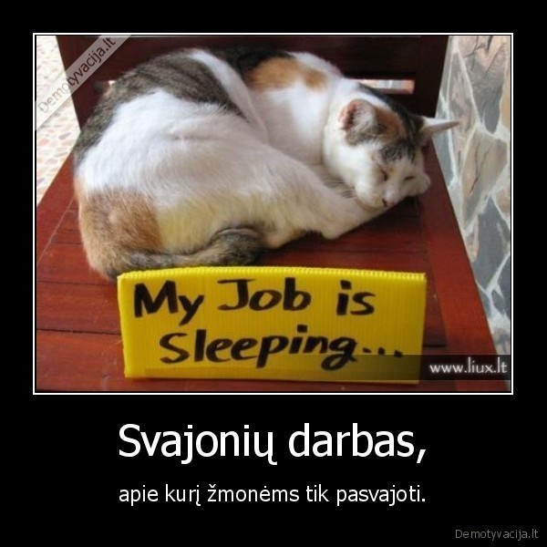 svajones,darbas,miegas,kates