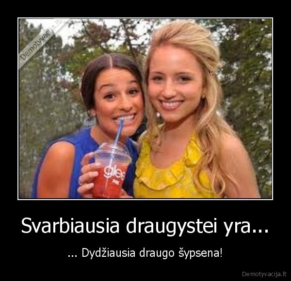 Svarbiausia draugystei yra...