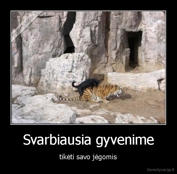 Svarbiausia gyvenime