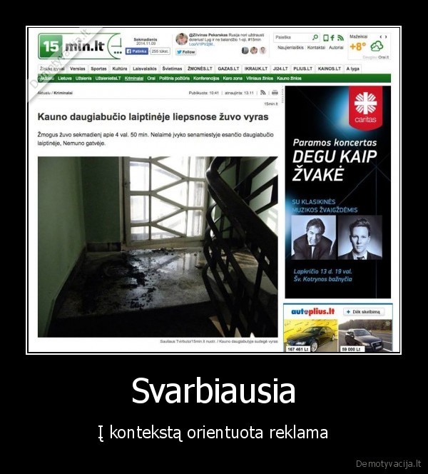 degu, kaip, zvake,15min, straipsnis