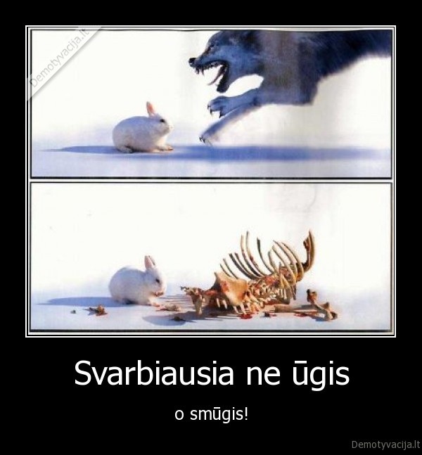 Svarbiausia ne ūgis