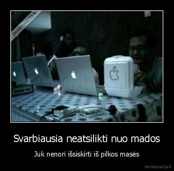 apple, mada, mase, pilka