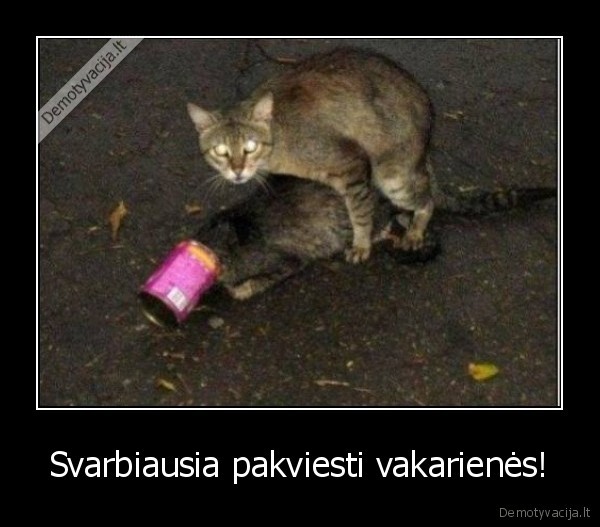 Svarbiausia pakviesti vakarienės!