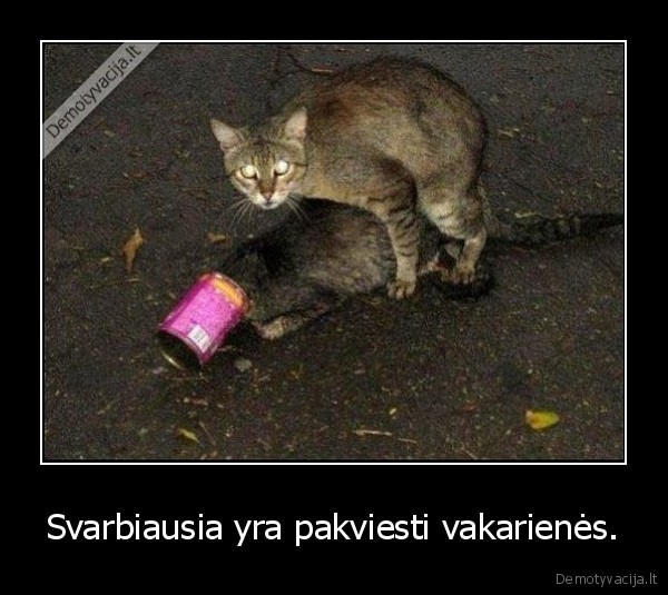 Svarbiausia yra pakviesti vakarienės.