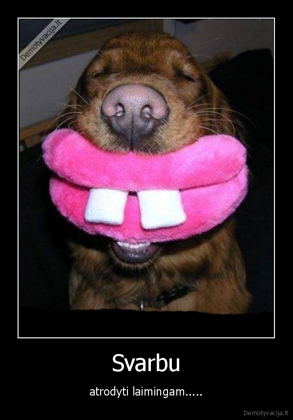 svarbu