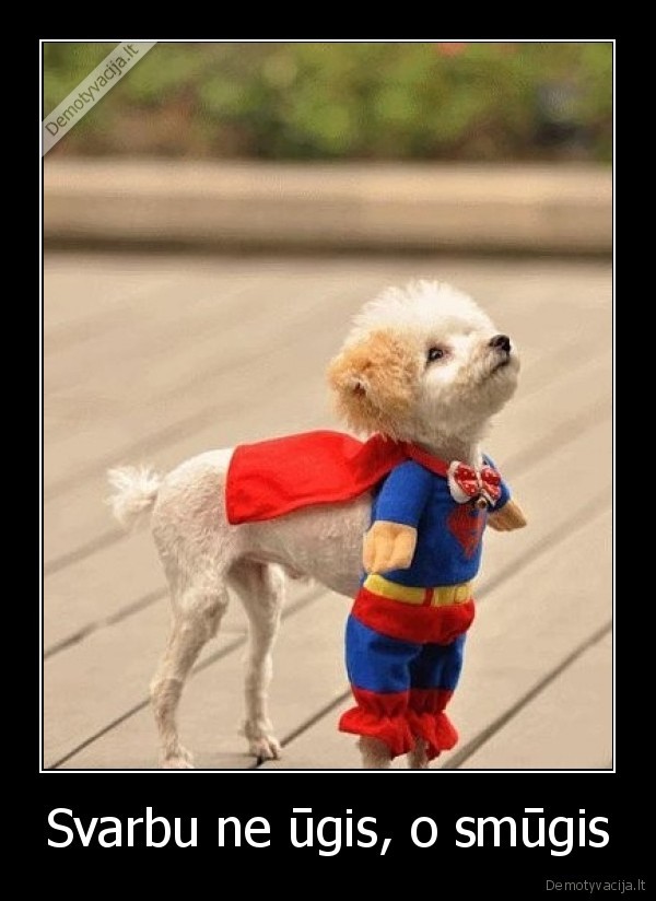 superdog,ugis