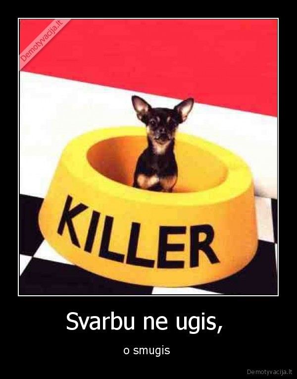 Svarbu ne ugis, 