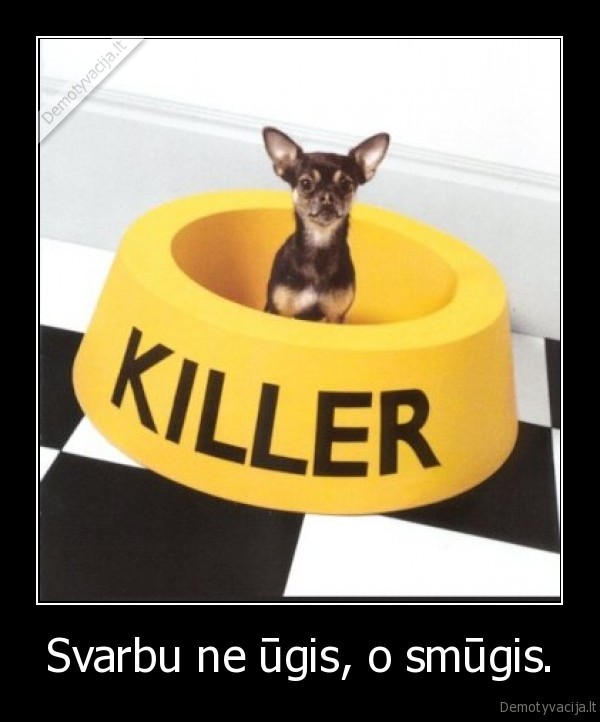 Svarbu ne ūgis, o smūgis.