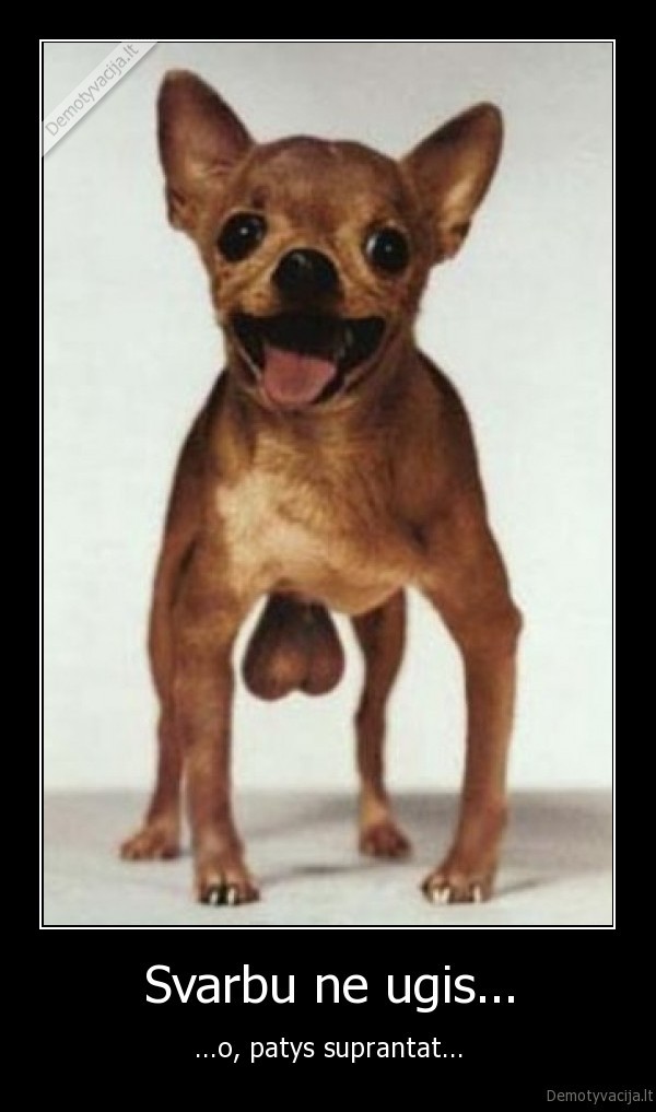 Svarbu ne ugis...