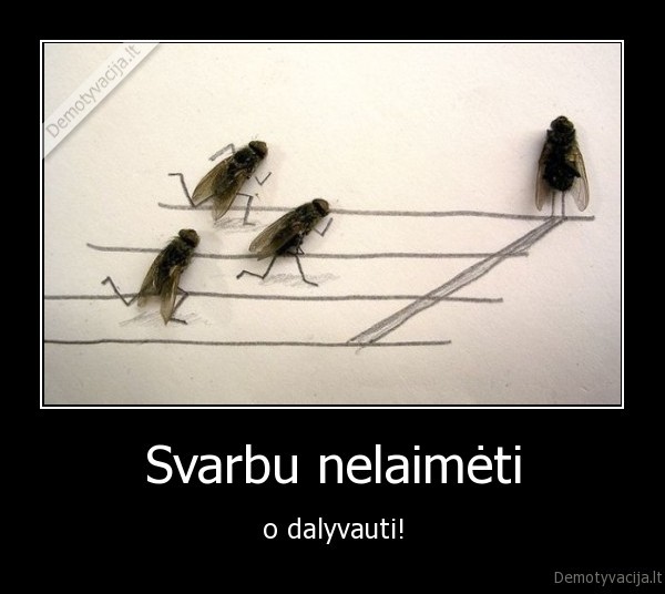 rokas, tadas, muse, muse2