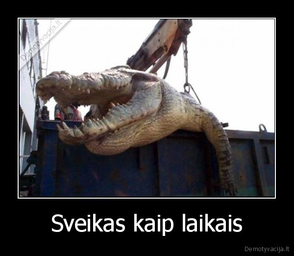 Sveikas kaip laikais