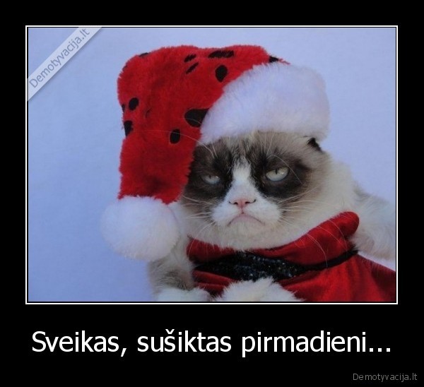 Sveikas, sušiktas pirmadieni...