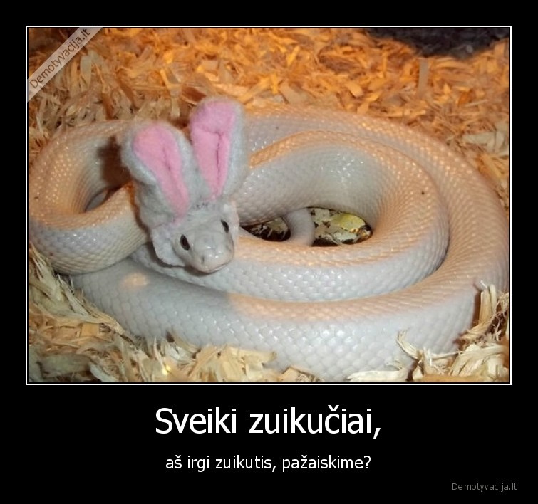 zuikis,gyvate,pasalunas