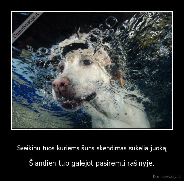 egzaminas,savickis,juokas