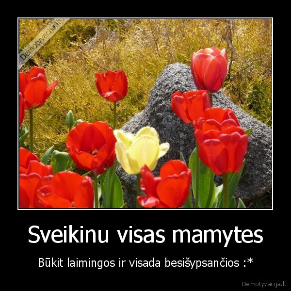 Sveikinu visas mamytes