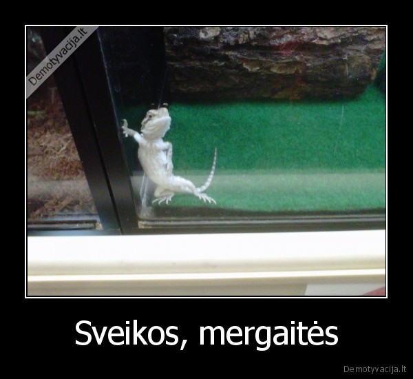 Sveikos, mergaitės