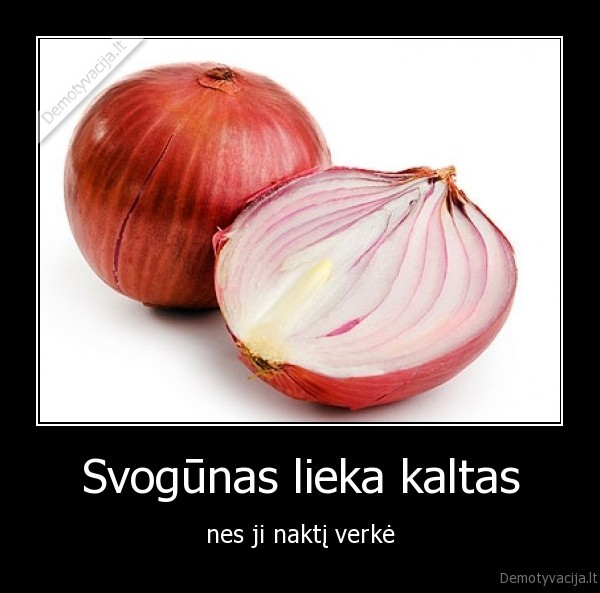 Svogūnas lieka kaltas